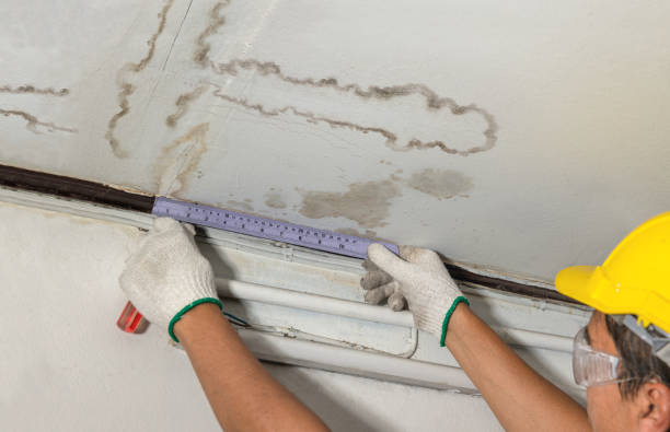 Reliable Burst Pipe Cleanup contractor in Berkley, MI by Local Water Damage Repair